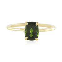 Zilveren ring met een Russische diopsied