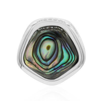 Zilveren hanger met een Abalone schelp (MONOSONO COLLECTION)