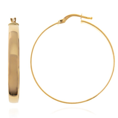 Gouden oorbellen