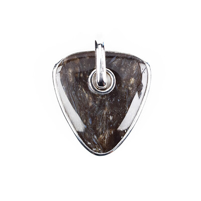 Zilveren hanger met een Versteend hout