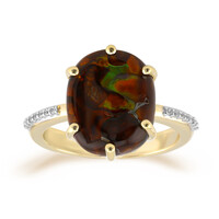 Gouden ring met een vuur agaat