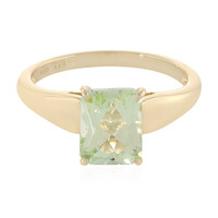 Gouden ring met een munt kunziet