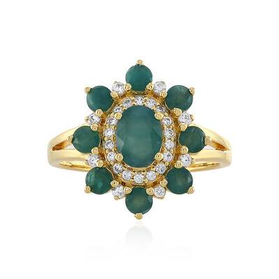 Zilveren ring met een Grandidiriet
