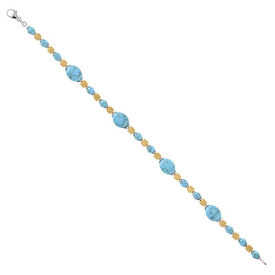 Zilveren armband met turkooisstenen (dagen)