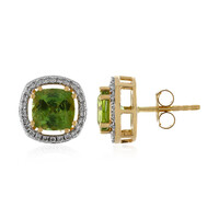 Gouden oorbellen met groene toermalijnen (AMAYANI)