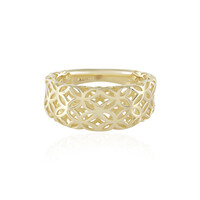 Gouden ring (Ornaments by de Melo)