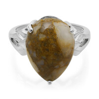 Zilveren ring met een dinosaurus kwarts