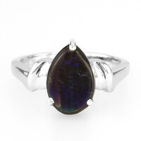 Zilveren ring met een ammoliet