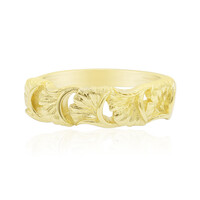 Zilveren ring