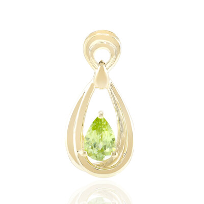 Gouden hanger met een Capelinha sfeen