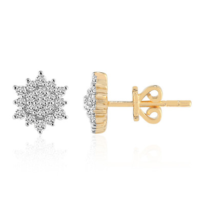 Gouden oorbellen met Diamanten SI1 (G) (Annette)