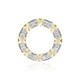 Gouden hanger met Diamanten SI1 (G) (Annette)