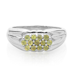 Zilveren ring met alexandrieten
