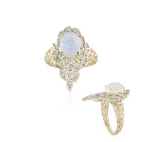 Gouden ring met een Welo-opaal (Ornaments by de Melo)