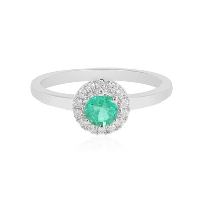 Zilveren ring met een Columbiaanse smaragd (MONOSONO COLLECTION)