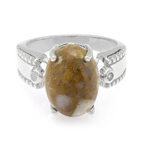 Zilveren ring met een dinosaurus kwarts