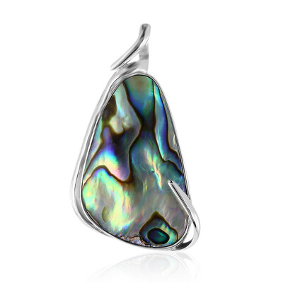 Zilveren hanger met een Abalone schelp (Art of Nature)