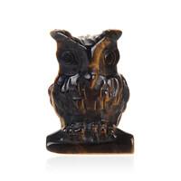 Figuur met een tijgeroog
