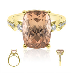 Gouden ring met een Congo Neon Toermalijn (AMAYANI)