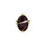 Zilveren ring met een Lof Agaat