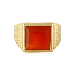 Zilveren ring met een Rode onyx