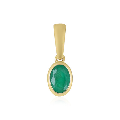 Gouden hanger met een Braziliaanse smaragd