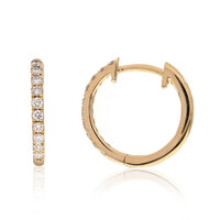 Gouden oorbellen met Loepzuivere (F) Diamanten (LUCENT DIAMONDS)