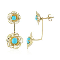 Gouden oorbellen met Sleeping Beauty Turkooisen (Ornaments by de Melo)