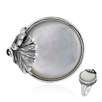 Zilveren ring met een parelmoer (Art of Nature)