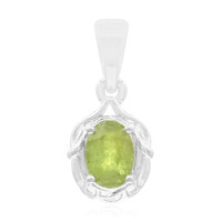 Zilveren hanger met een Namibian Demantoid