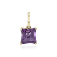 Gouden hanger met een amethist