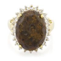 Zilveren ring met een dinosaurus kwarts