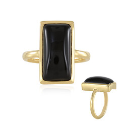 Zilveren ring met een zwarte onyx