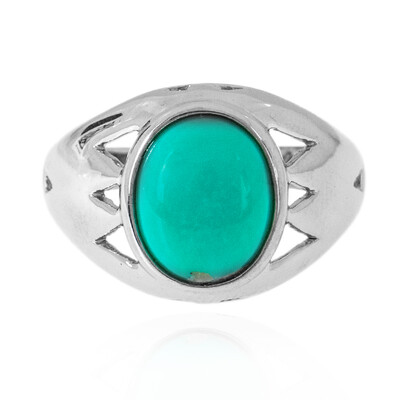 Zilveren ring met een Campitos Turkoois (Anne Bever)