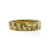 Zilveren ring