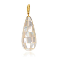 Zilveren hanger met parelmoer