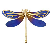 Broche