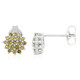 Zilveren oorbellen met Fancy diamanten
