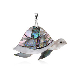 Zilveren hanger met Abalone schelpen