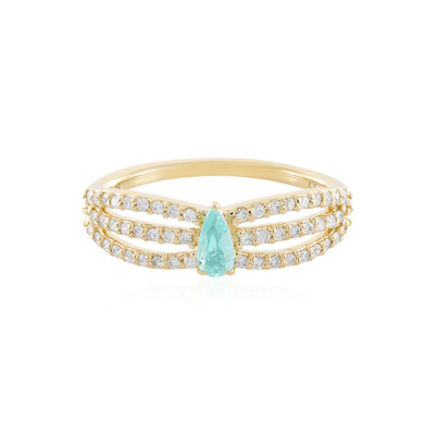 Gouden ring met een Braziliaanse Paraiba toermalijn (AMAYANI)