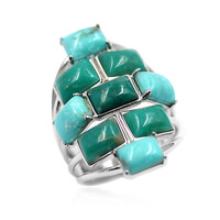 Zilveren ring met Campo Frio Turkooisen (Anne Bever)