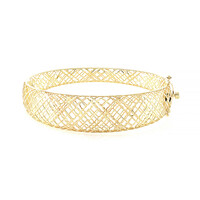Gouden armband (Ornaments by de Melo)