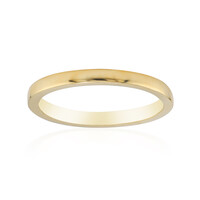 Zilveren ring