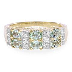 Gouden ring met Braziliaanse Paraiba toermalijnen