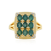 Zilveren ring met Grandidirieten