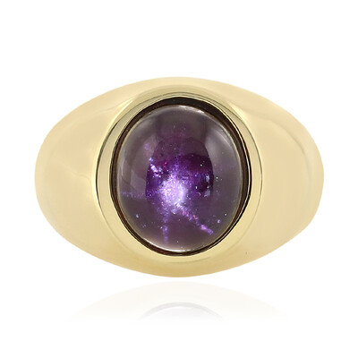 Zilveren ring met een Ster granaat