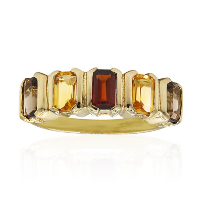 Zilveren ring met een Mozambique granaat