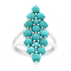 Zilveren ring met Campitos Turkooisen (Anne Bever)