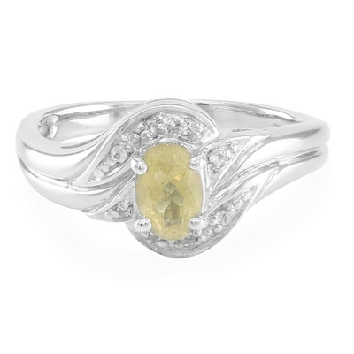 Zilveren ring met een xia-apetiet