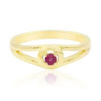 Gouden ring met een rode beril